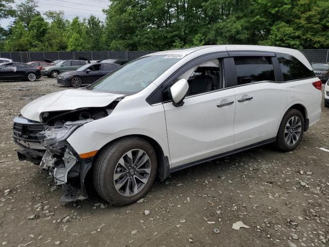 2023 Honda all models Salvage Car